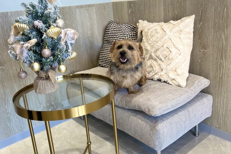 通いやすく、続けやすいサロンであること