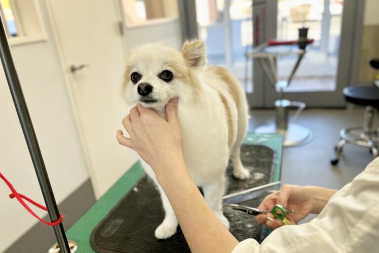 ワンちゃんの「心地よさ」をいちばんに